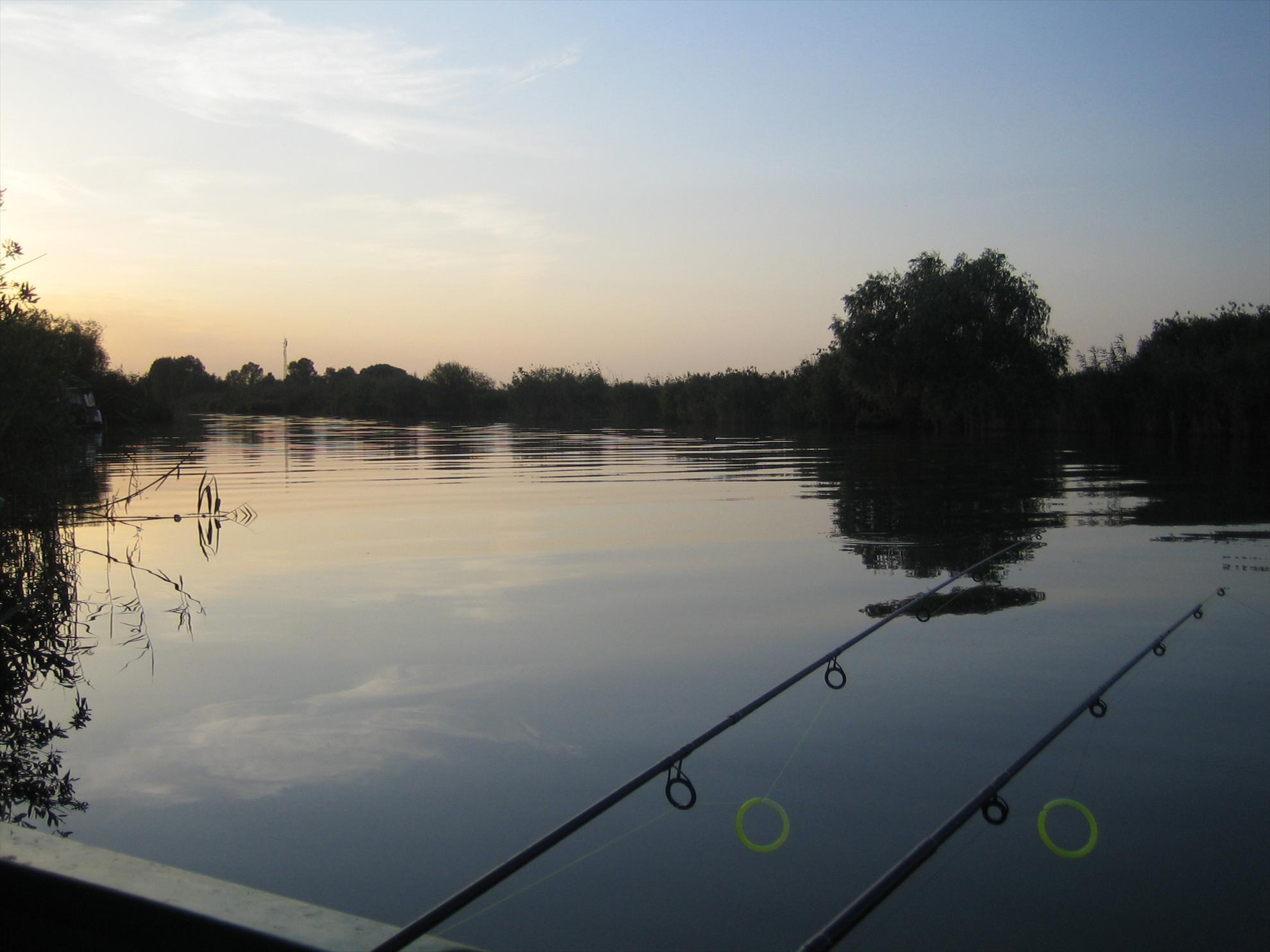 DELTA 2007-2012 - ROSU